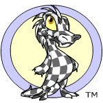 checkered krawk