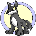 skunk lupe