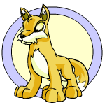 Neopet Lupe