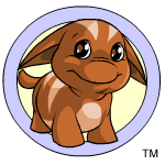 Classic Background brown poogle (old pre-customisation)