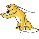 yellow gelert