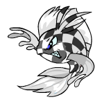 checkered koi