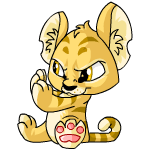 Ranged Attack baby kougra (old pre-customisation)