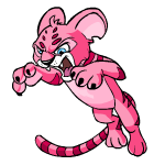Ranged Attack pink kougra (old pre-customisation)