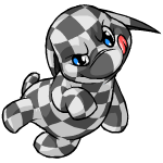 checkered poogle