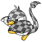 checkered pteri