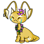 Sad island aisha (old pre-customisation)