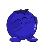 blueberry chia