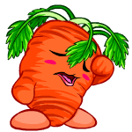 Sad carrot chia (old pre-customisation)