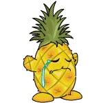 Sad pineapple chia (old pre-customisation)