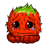 Sad strawberry jubjub (old pre-customisation)