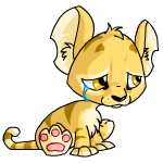 Sad baby kougra (old pre-customisation)