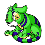 Sad green kougra (old pre-customisation)