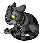 shadow kougra