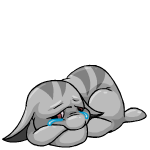 Sad grey poogle (old pre-customisation)