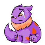 purple wocky