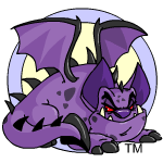 darigan skeith