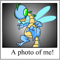 Buzz's Photo