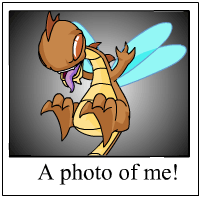 Buzz's Photo