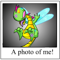 Buzz's Photo