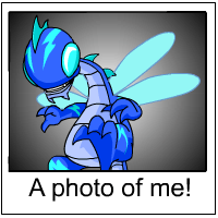 Buzz's Photo