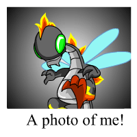 Buzz's Photo