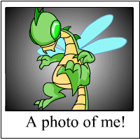 Buzz's Photo