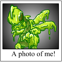 Buzz's Photo