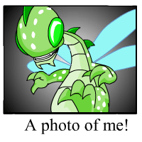 Buzz's Photo