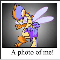 Buzz's Photo