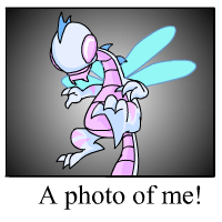 Buzz's Photo