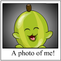 I am a very happy Chia