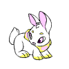 <img:http://images.neopets.com/template_images/cybunny_yellow_chase.gif>