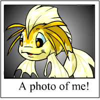 This is me!