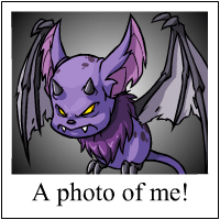 korbat Photo