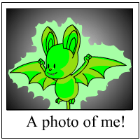 korbat Photo