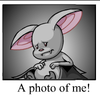 korbat Photo
