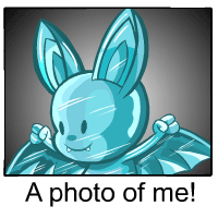 korbat Photo