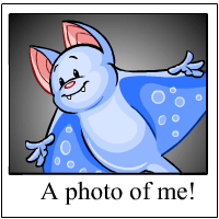 korbat Photo