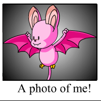 korbat Photo