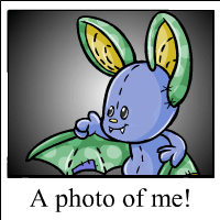 korbat Photo