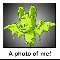 korbat Photo