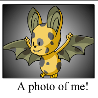 korbat Photo