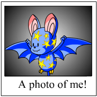 korbat Photo