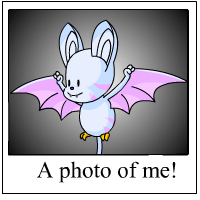 korbat Photo