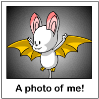 korbat Photo