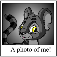 He he, this is me!