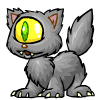 <img:http://images.neopets.com/template_images/meowclops_black_blink.gif>