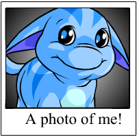 Ohhh Look at me!