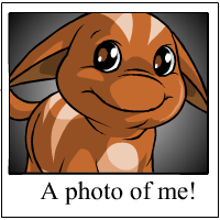 Ohhh Look at me!
